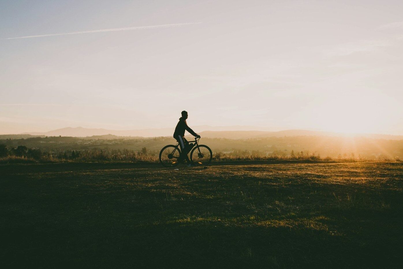 person riding bicycle near grass in sunset